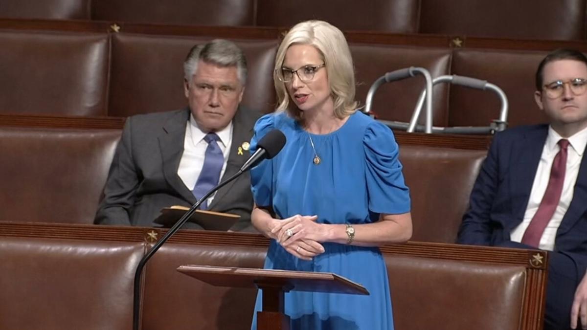 Rep. Hinson giving floor speech
