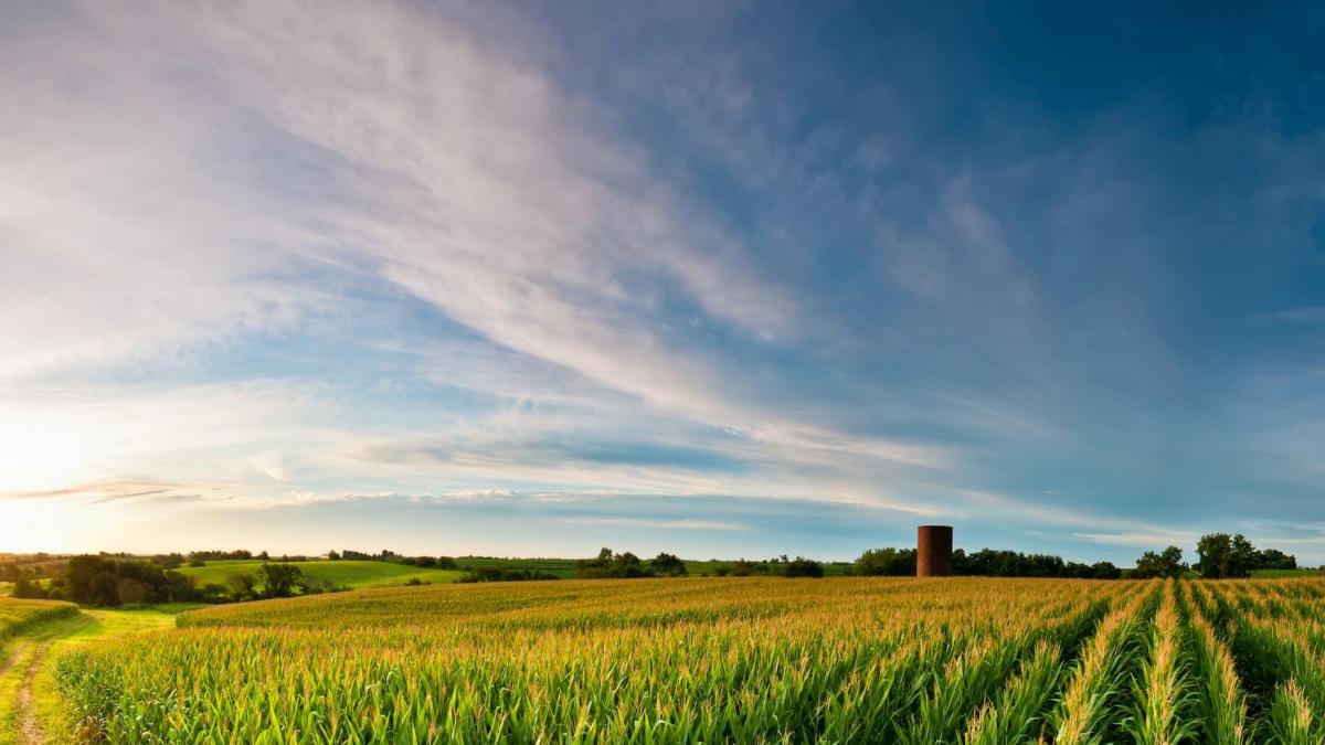 Iowa
