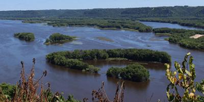 Driftless