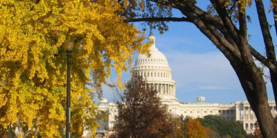 Capitol in the fall