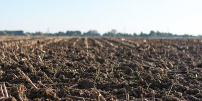 Fertilizer