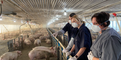 iowa pork producers