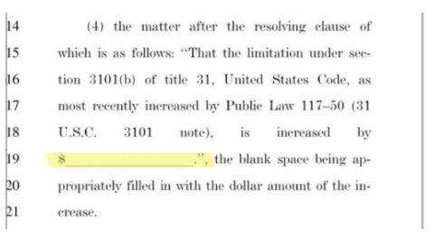 debt limit blank