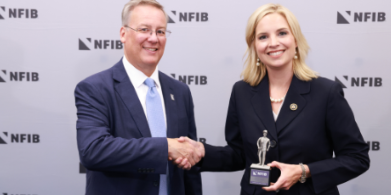 Rep. Hinson Receives Guardian of Small Business Award from the National Federation of Independent Business (NFIB)